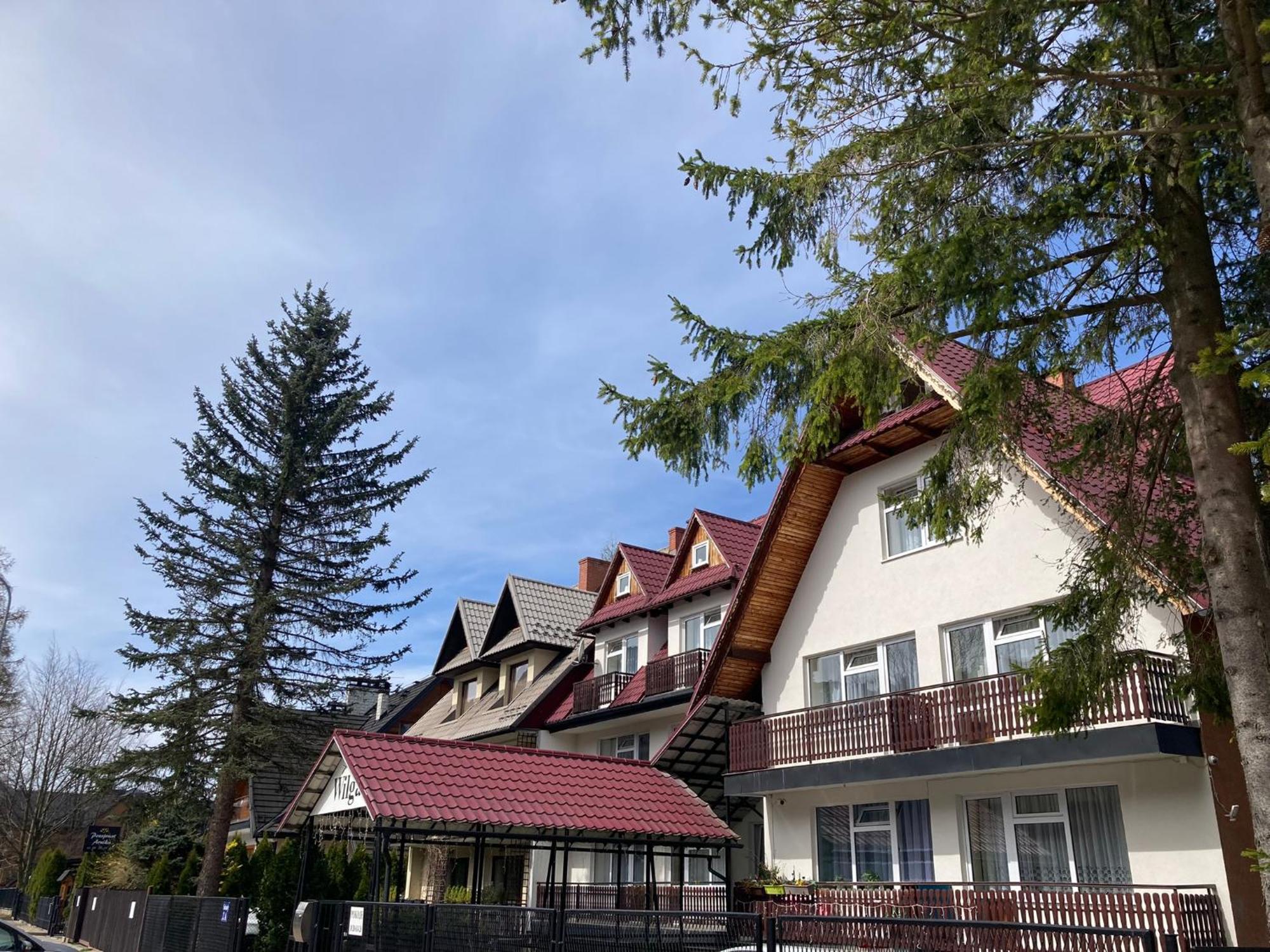 Pokoje Goscinne Wilga Zakopane Bagian luar foto